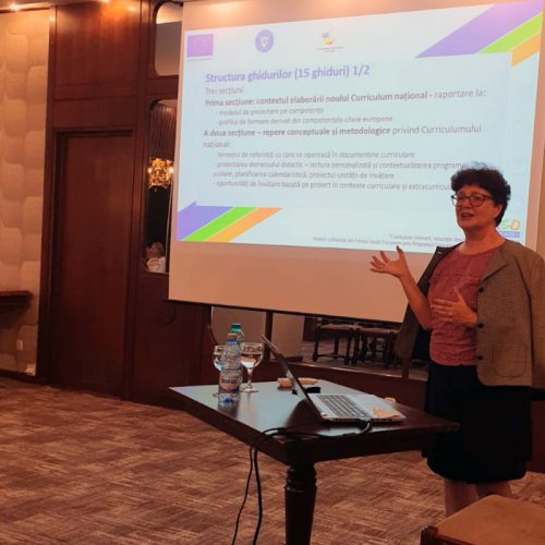 Consfătuiri externe, privind elaborarea și publicarea de ghiduri metodologice pentru diferitele discipline de studiu din învățământul primar și gimnazial