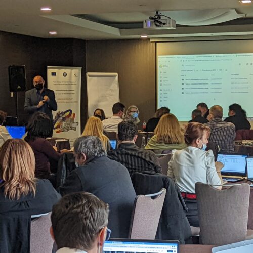 Întâlnire de lucru experți RED, 11 – 13 februarie 2022